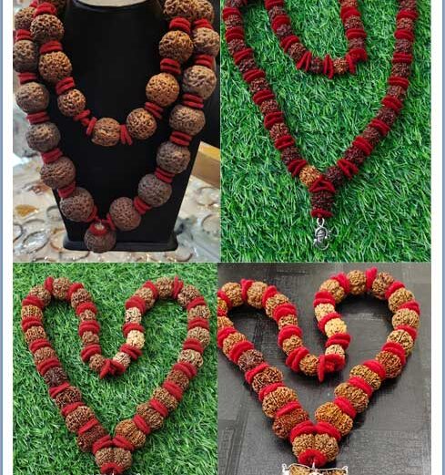 Rudraksh & Rudraksha Mala